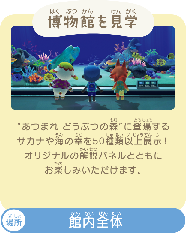 博物館を見学