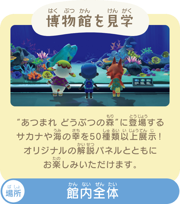 博物館を見学