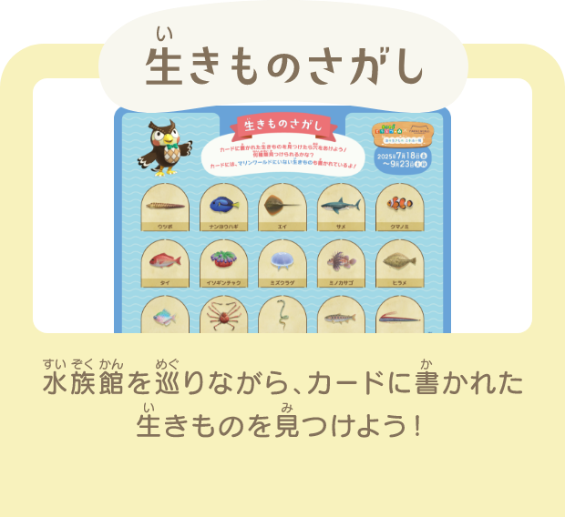 生きものさがし