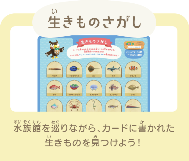 生きものさがし