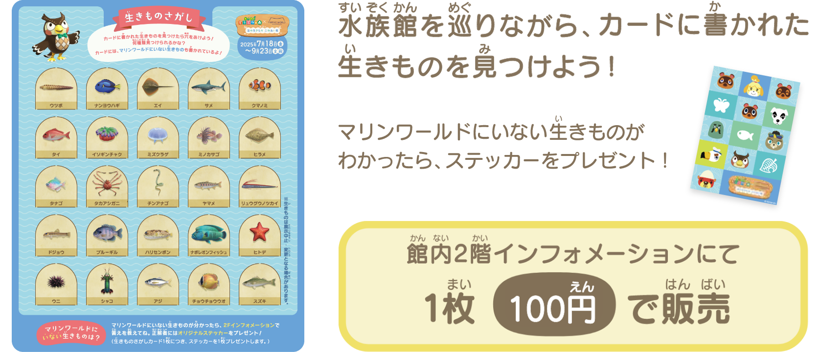 生きものさがし
