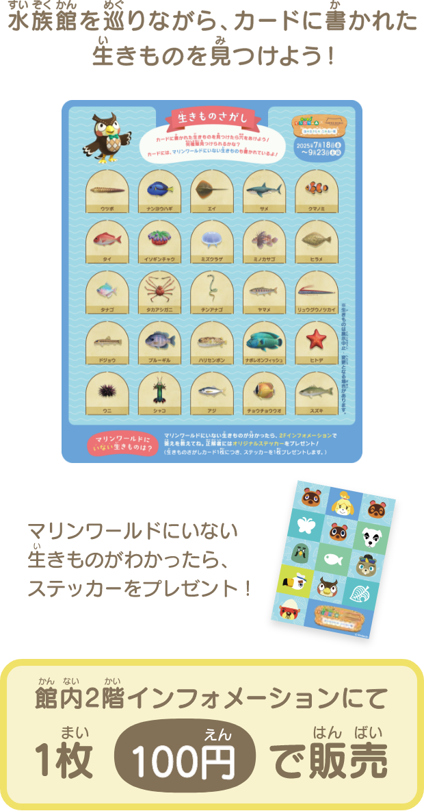 生きものさがし