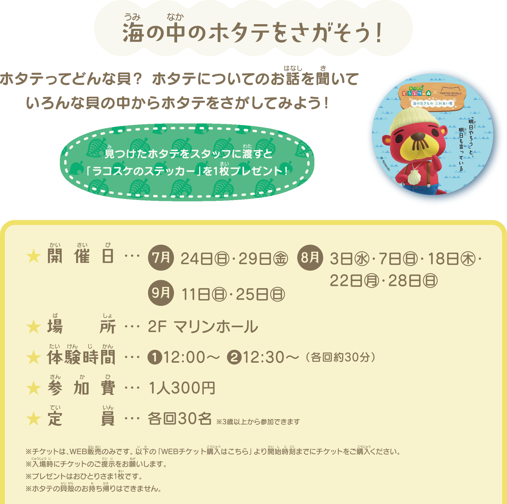 海の生きものに触れる