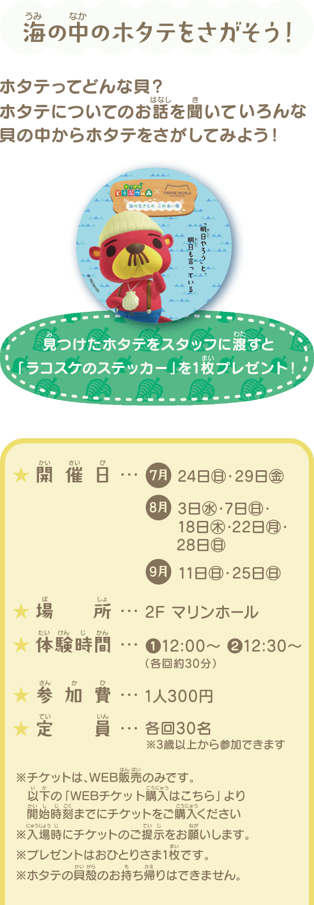 海の生きものに触れる