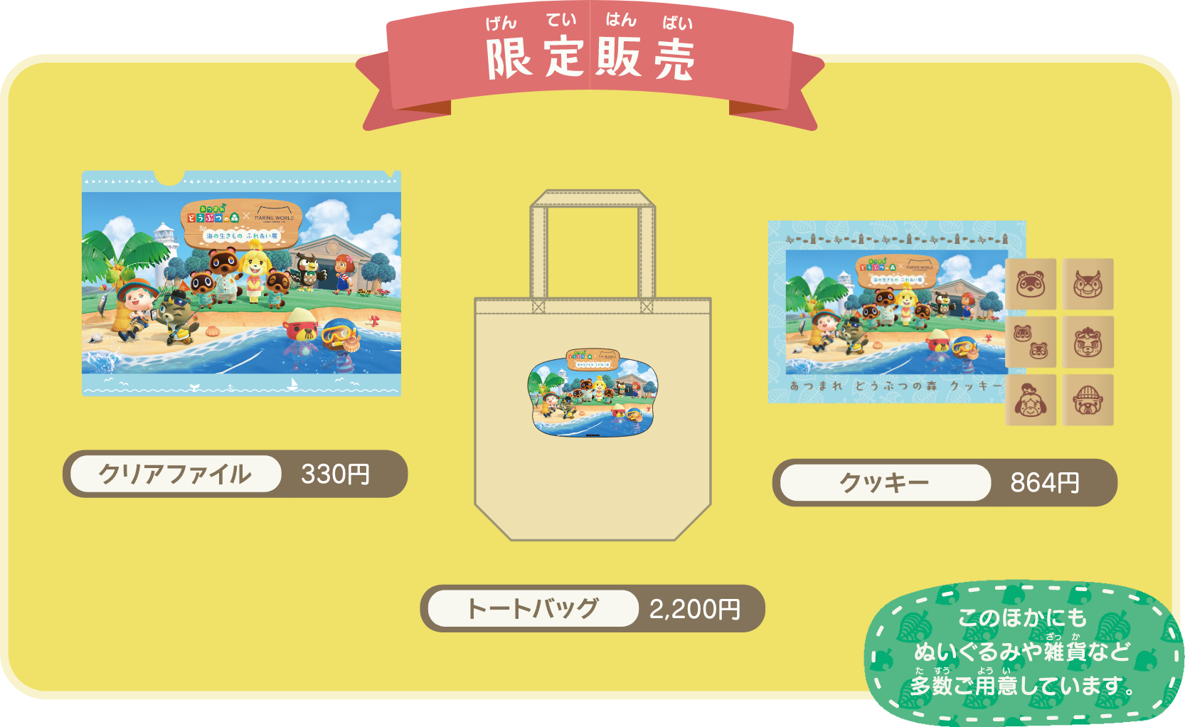 海の生きものに触れる