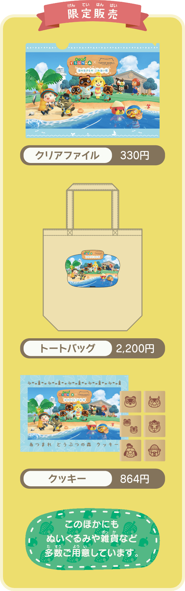 海の生きものに触れる