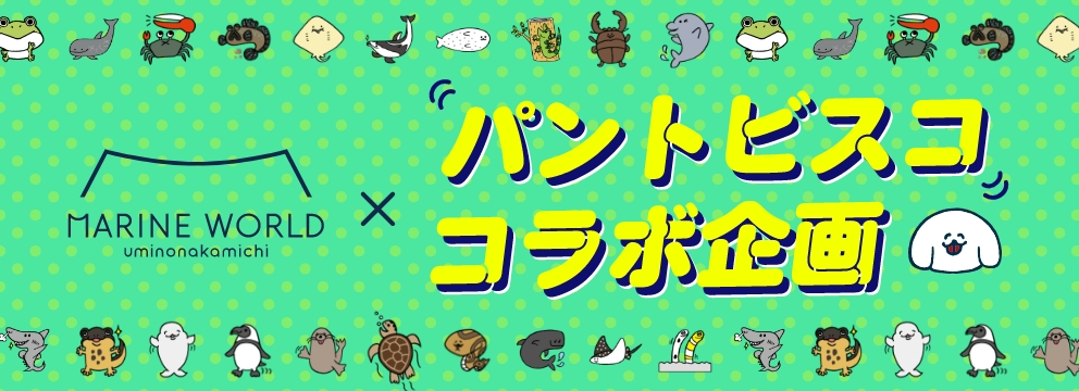 パントビスココラボ企画