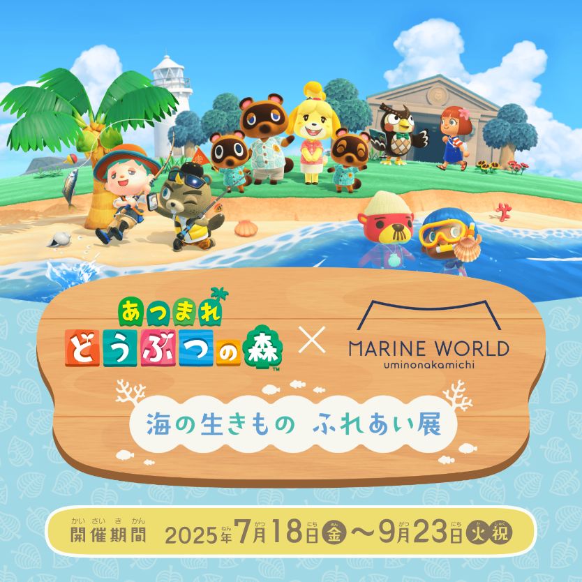 あつまれどうぶつの森