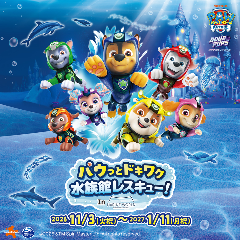 パウっとドキワク 水族館レスキュー!