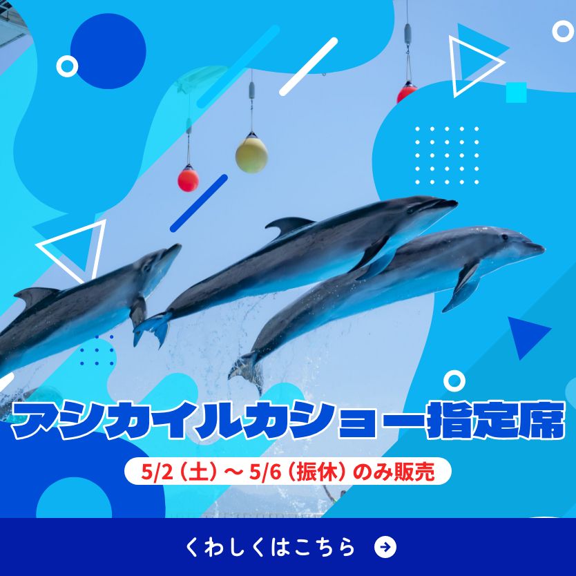 イルカ・アシカショーの予約席ができました