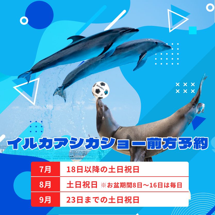 イルカアシカショー前方予約
