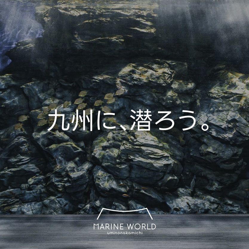 九州に、潜ろう