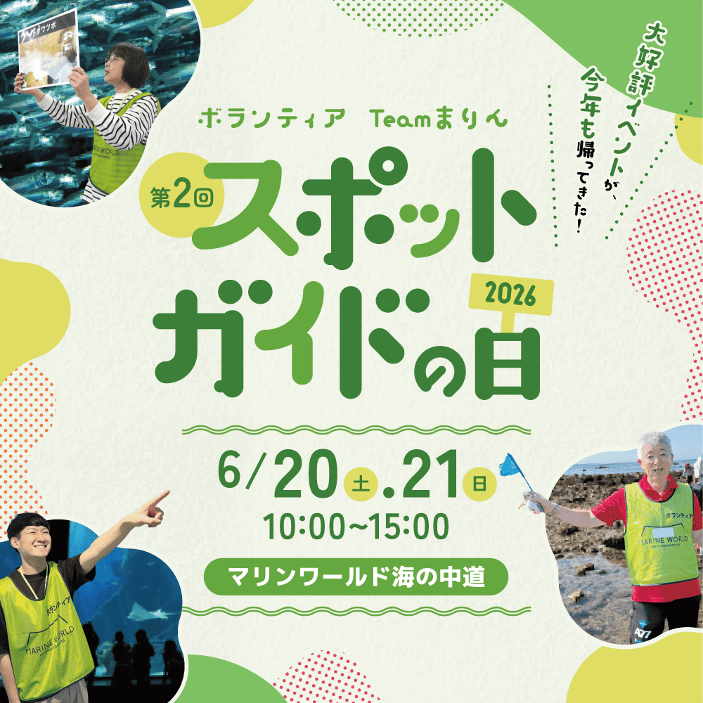 スポットガイドの日
