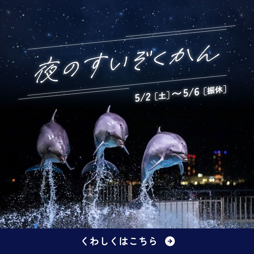 夜のすいぞくかん