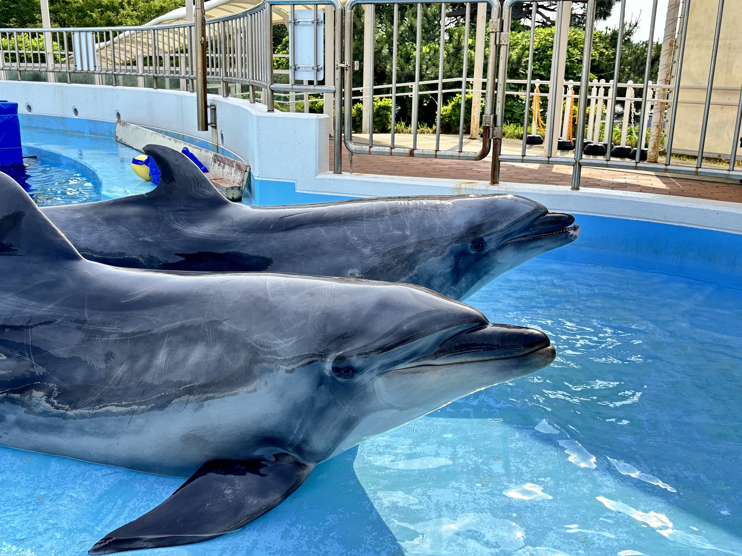 アイランドトーク