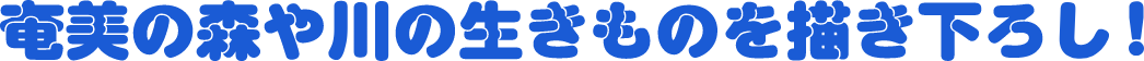 奄美の森や川の生きものを描き下ろし！