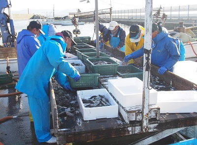 志賀島の定置網調査をはじめました マリンワールド海の中道