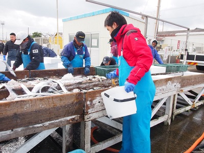 志賀島の定置網調査をはじめました マリンワールド海の中道