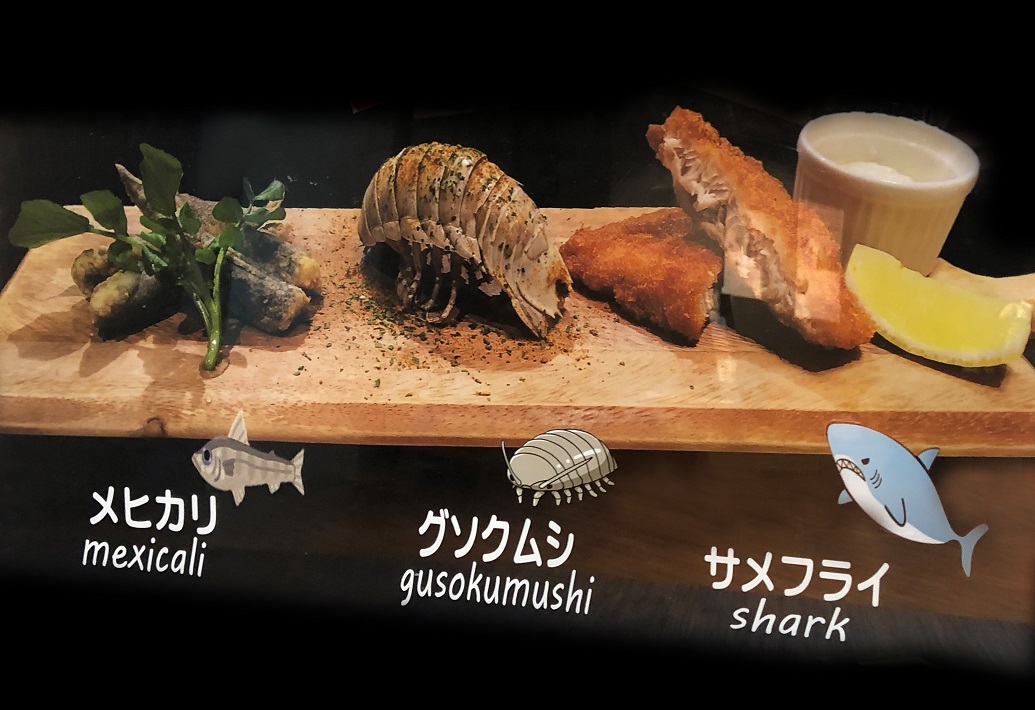 終了しました 好評につき延長 食べてみようグソクムシ Marine World