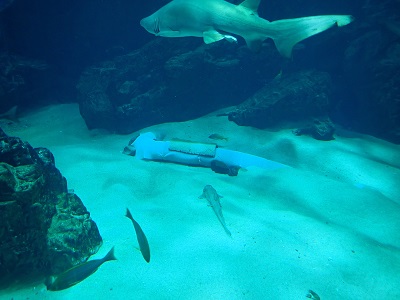 水槽メンテナンス マリンワールド海の中道