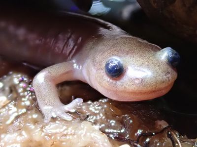 カスミちゃん特集 マリンワールド海の中道