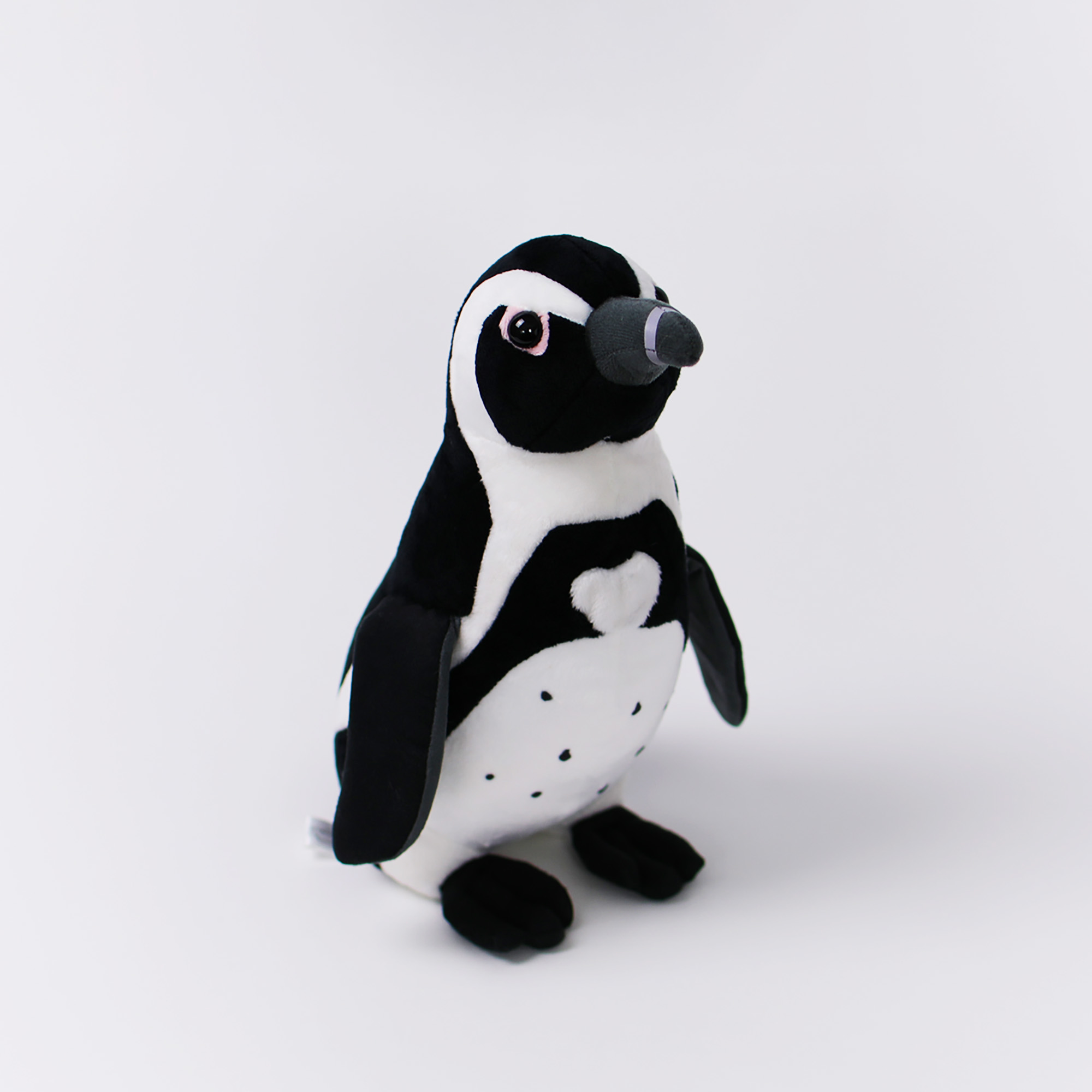 終了しました ケープペンギンの愛称を募集中です マリンワールド海の中道