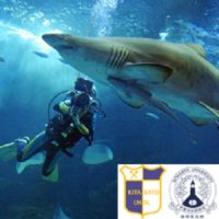 【終了しました】10月20日のダイバー魚ッチィングは特別バージョン