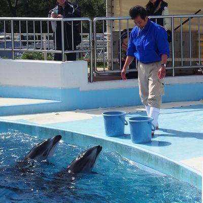 スタッフブログ マリンワールド海の中道