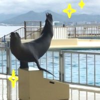 トレーナーの一日