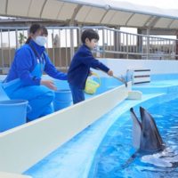 10月以降も土日のみ継続!パクパクイルカ