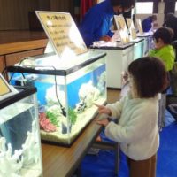 移動水族館教室を行いました