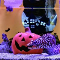 10月~12月イベント情報