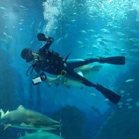 1400tの水槽の掃除