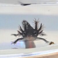 いつのまに…?