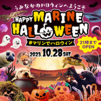 【10月28日(土)限定!】ハロウィンナイト開催!